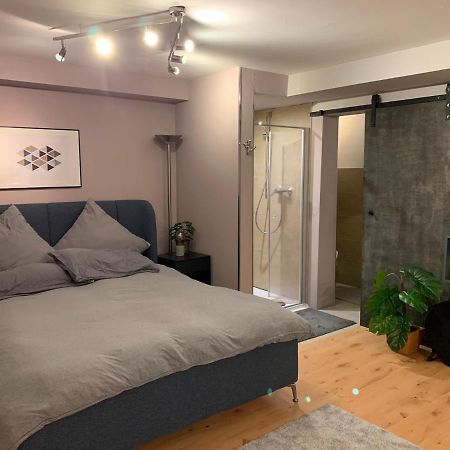 Top Studio Appartement Im Gruenen Nah Phantasialand Bruehl  Exterior photo
