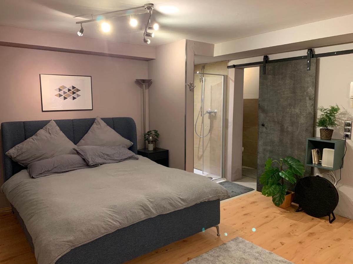 Top Studio Appartement Im Gruenen Nah Phantasialand Bruehl  Exterior photo